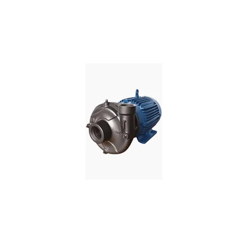 Bomba Centrífuga V1L 3 Hp 3450 Rpm 1.25X1Npt 3/60/230-460V