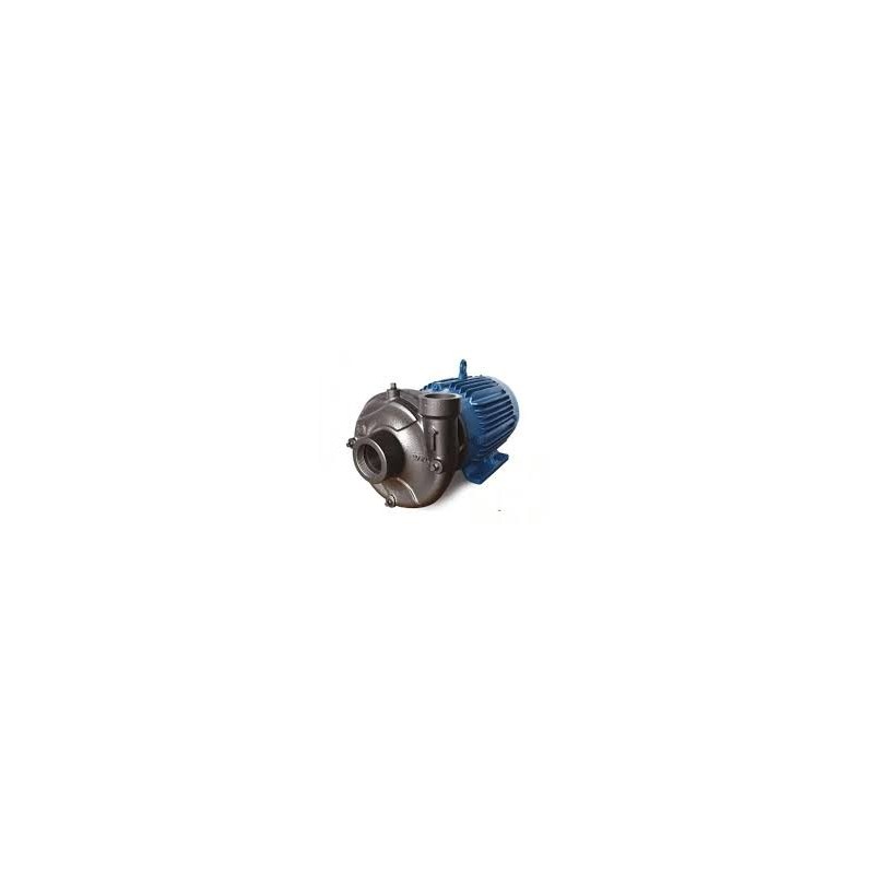 Bomba Centrífuga V1 1/2L 1 Hp 1750 Rpm 2X1.5Npt 3/60/230-460V